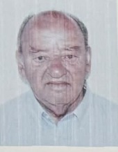Ritratto di Alfredo Maggio