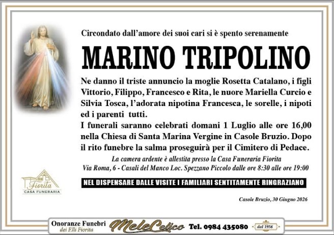 Ritratto di Marino Tripolino